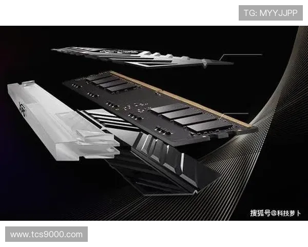 科斯纳巴斯克尼亚与尤金奥莫鲁伊携手征战至2025-26赛季