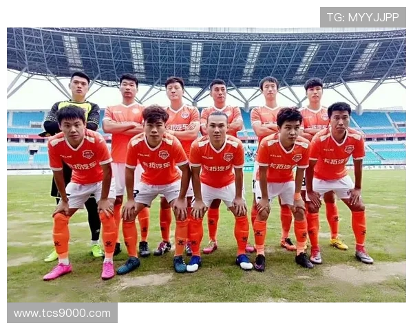 维罗纳冲乙在即重建缓慢